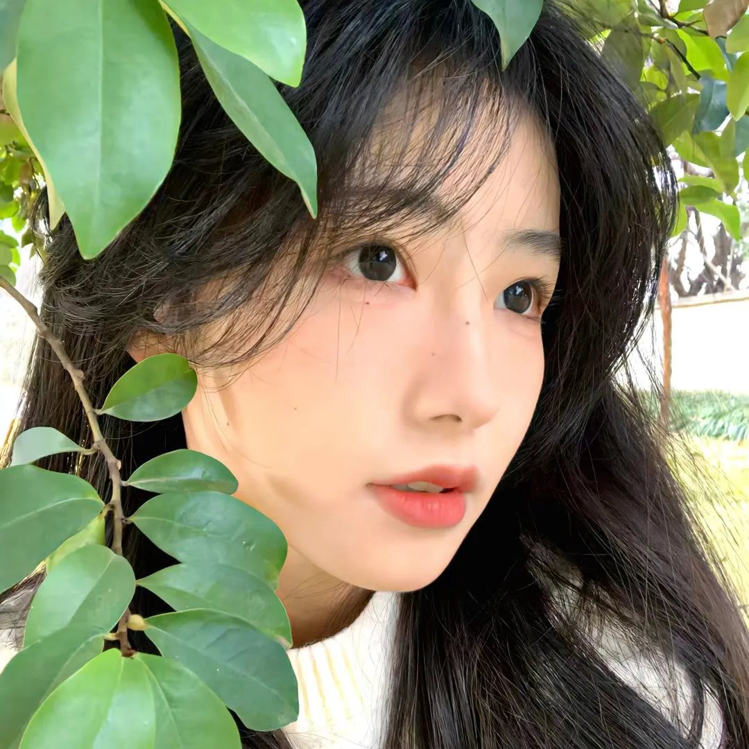彩凤笙歌