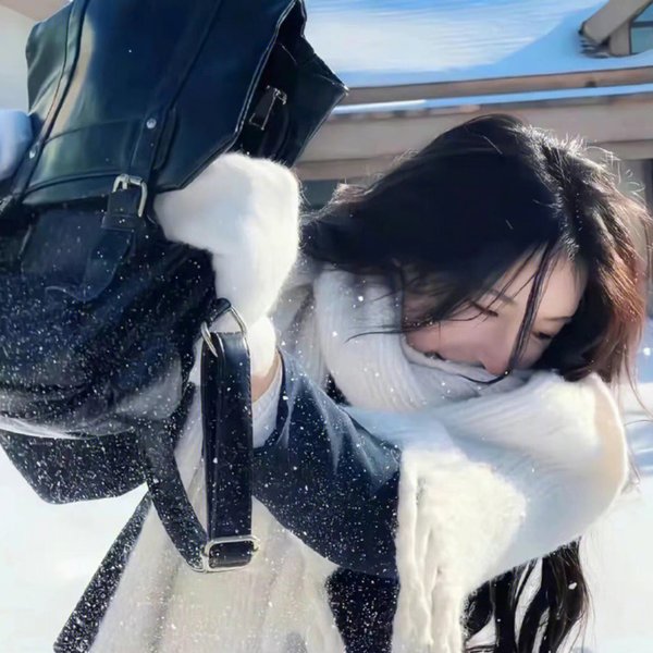 野马梅莎